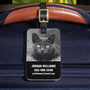 Niedliche Kleintiere Graue Katze Gepäckanhänger