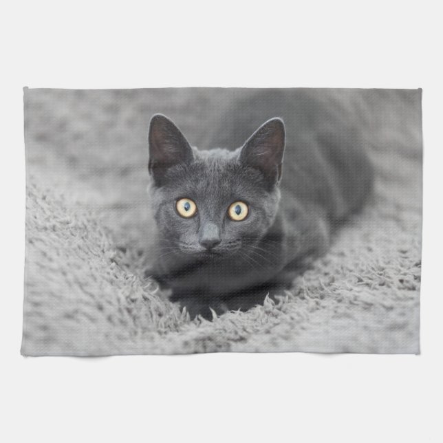 Niedliche Kleintiere | Graue Katze Geschirrtuch (Horizontal)