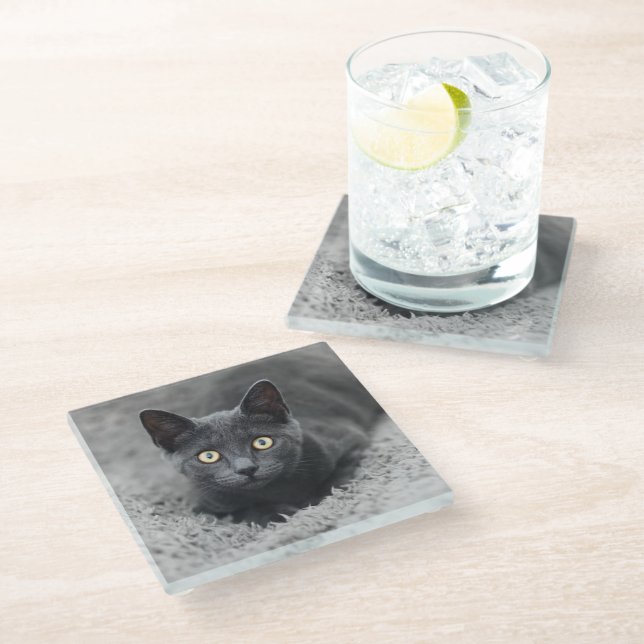 Niedliche Kleintiere | Graue Katze Glasuntersetzer (Schrägansicht)