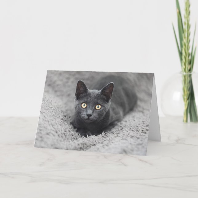 Niedliche Kleintiere | Graue Katze Karte (Vorderseite)