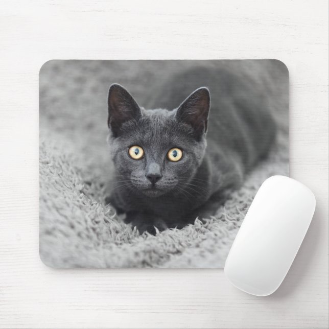 Niedliche Kleintiere | Graue Katze Mousepad (Mit Mouse)