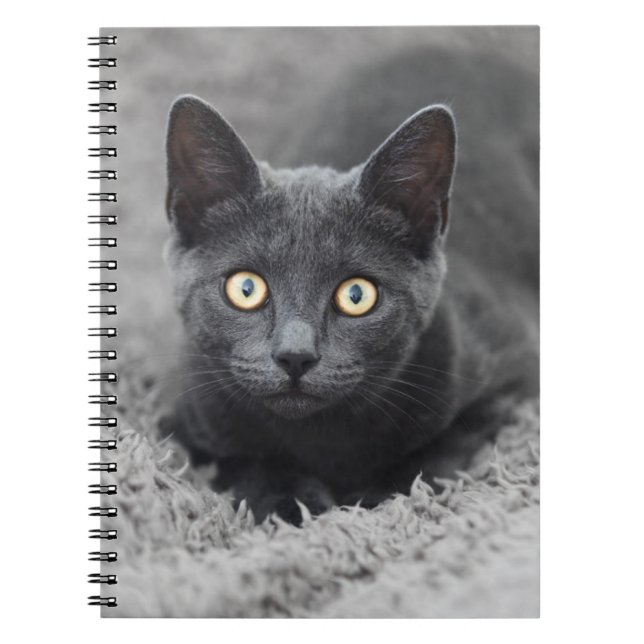 Niedliche Kleintiere | Graue Katze Notizblock (Vorderseite)