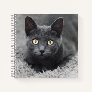 Niedliche Kleintiere Graue Katze Notizbuch