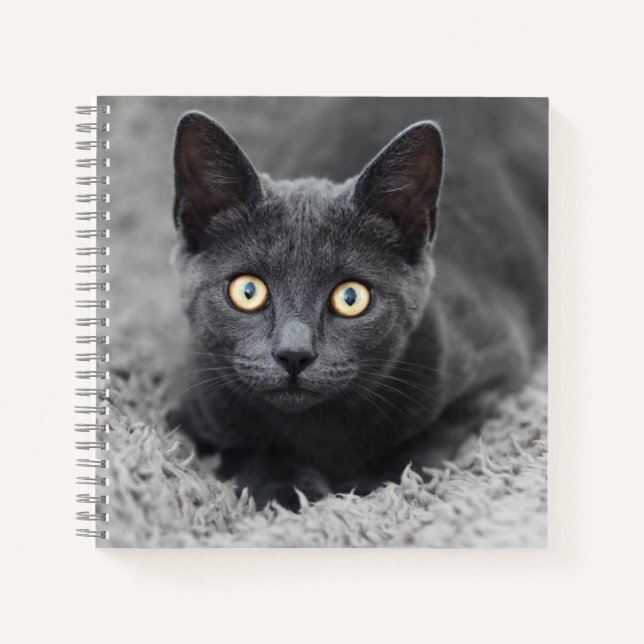 Niedliche Kleintiere | Graue Katze Notizbuch (Vorderseite)