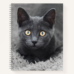 Niedliche Kleintiere Graue Katze Notizbuch