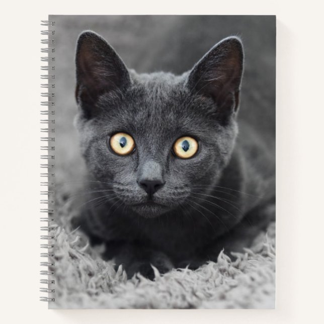 Niedliche Kleintiere | Graue Katze Notizbuch (Vorderseite)