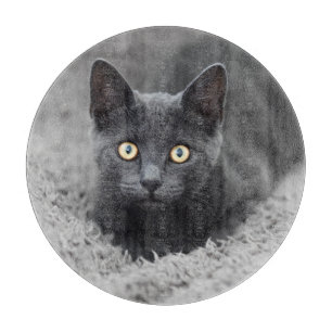 Niedliche Kleintiere   Graue Katze Schneidebrett