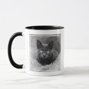 Niedliche Kleintiere   Graue Katze Tasse