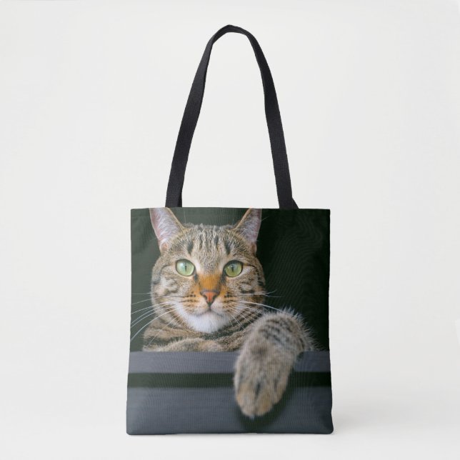 Niedliche Kleintiere | Grey Tabby Cat Face (Vorderseite)