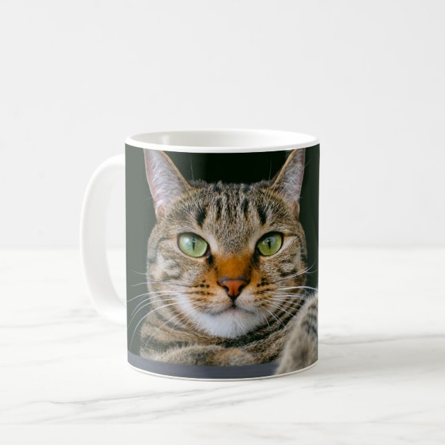 Niedliche Kleintiere | Grey Tabby Cat Face Kaffeetasse (Vorderseite Links)