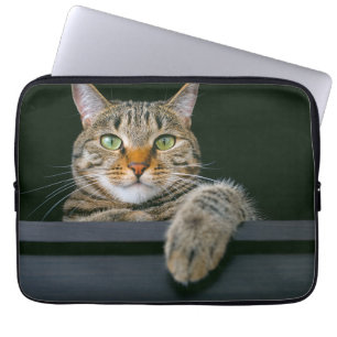 Niedliche Kleintiere   Grey Tabby Cat Face Laptopschutzhülle