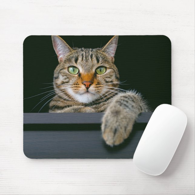 Niedliche Kleintiere | Grey Tabby Cat Face Mousepad (Mit Mouse)