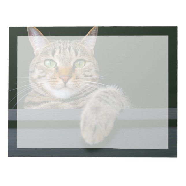 Niedliche Kleintiere | Grey Tabby Cat Face Notizblock (Vorderseite)