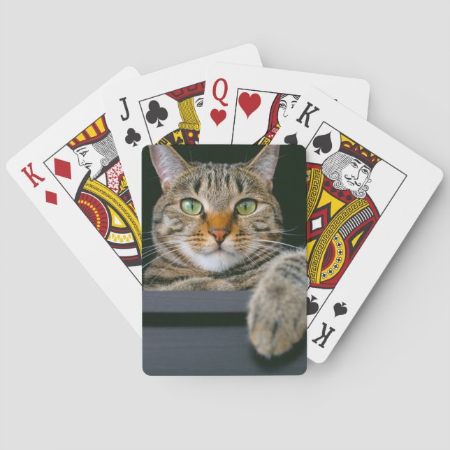 Niedliche Kleintiere | Grey Tabby Cat Face Spielkarten (Rückseite)