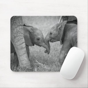 Niedliche Kleintiere   Gruß von Baby Elephants Mousepad