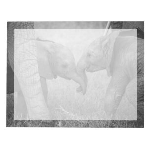 Niedliche Kleintiere   Gruß von Baby Elephants Notizblock