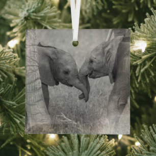 Niedliche Kleintiere Gruß von Baby Elephants Ornament Aus Glas