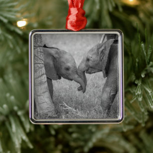 Niedliche Kleintiere   Gruß von Baby Elephants Ornament Aus Metall