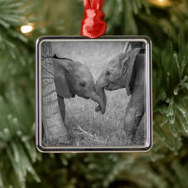 Niedliche Kleintiere | Gruß von Baby Elephants Ornament Aus Metall (Baum)