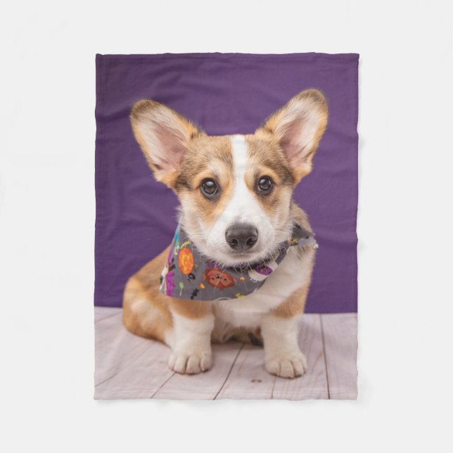 Niedliche Kleintiere | Halloween Corgi Fleecedecke (Vorderseite)