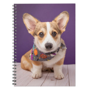 Niedliche Kleintiere   Halloween Corgi Notizblock