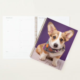 Niedliche Kleintiere Halloween Corgi Planer