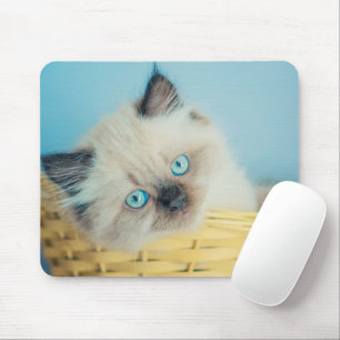 Niedliche Kleintiere Himalayan Siegel Point Cat Mousepad