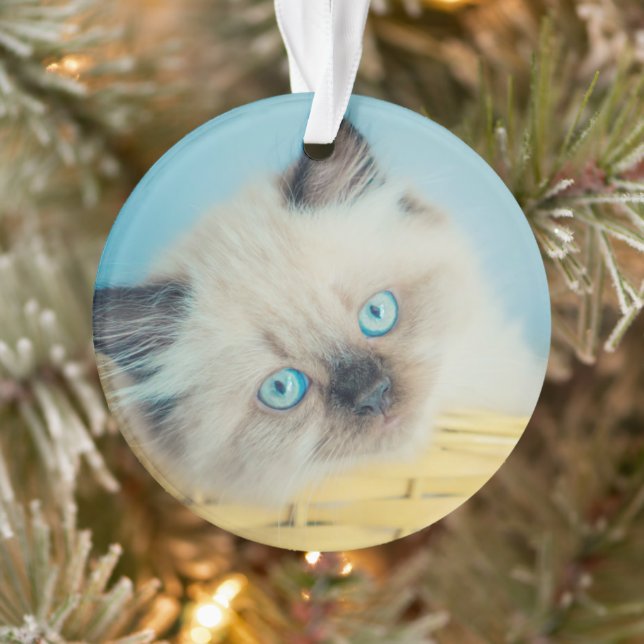 Niedliche Kleintiere | Himalayan Siegel Point Cat Ornament (Baum)