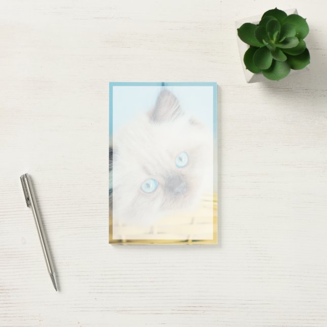 Niedliche Kleintiere | Himalayan Siegel Point Cat Post-it Klebezettel (Büro)