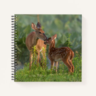 Niedliche Kleintiere Hirsch und Baby Notizbuch