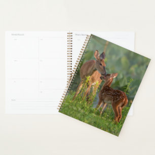 Niedliche Kleintiere   Hirsch und Baby Planer