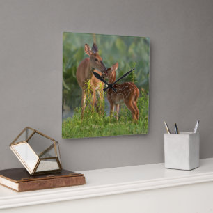 Niedliche Kleintiere   Hirsch und Baby Quadratische Wanduhr