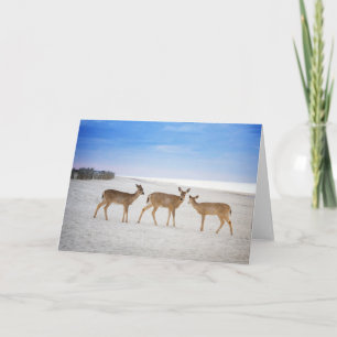 Niedliche Kleintiere   Hirsche am Strand Karte