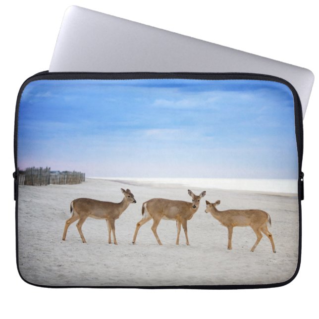 Niedliche Kleintiere | Hirsche am Strand Laptopschutzhülle (Vorderseite)