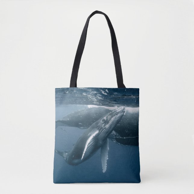 Niedliche Kleintiere | Humpback Whale Calf (Vorderseite)