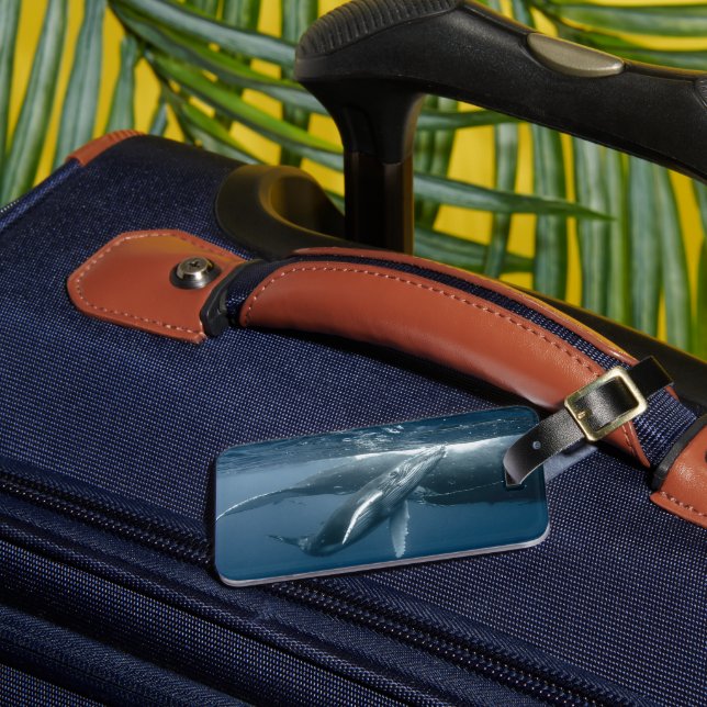 Niedliche Kleintiere | Humpback Whale Calf Gepäckanhänger (Vorderseite Insitu 3)