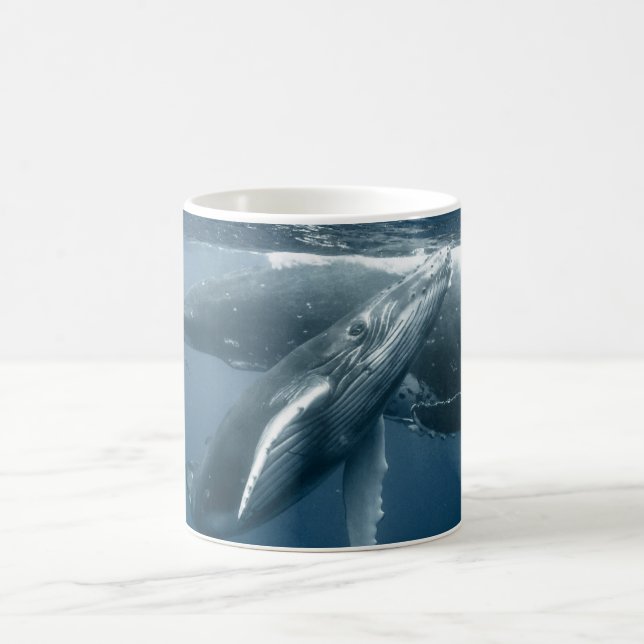 Niedliche Kleintiere | Humpback Whale Calf Kaffeetasse (Mittel)
