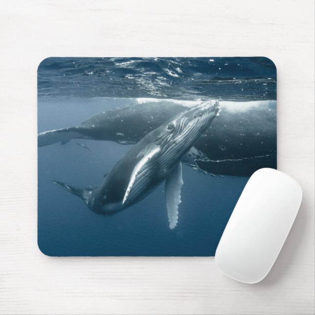 Niedliche Kleintiere | Humpback Whale Calf Mousepad (Mit Mouse)