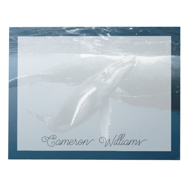 Niedliche Kleintiere | Humpback Whale Calf Notizblock (Vorderseite)