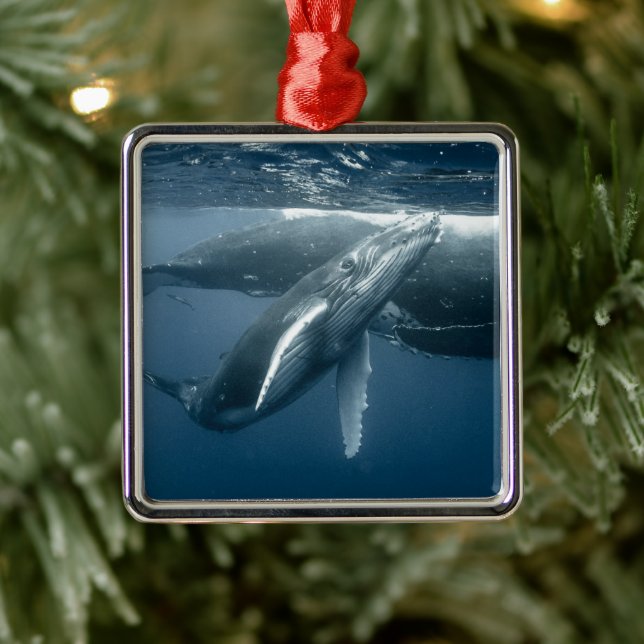 Niedliche Kleintiere | Humpback Whale Calf Ornament Aus Metall (Baum)