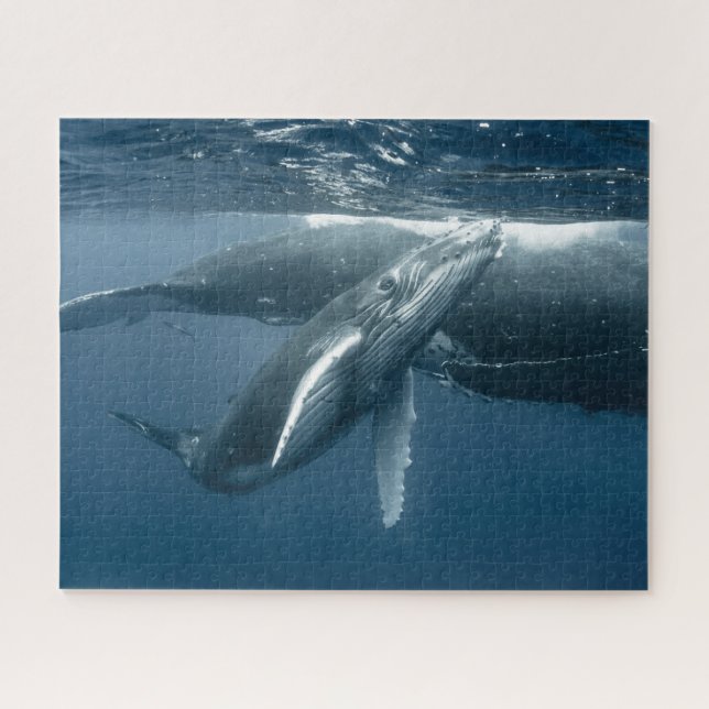 Niedliche Kleintiere | Humpback Whale Calf Puzzle (Horizontal)