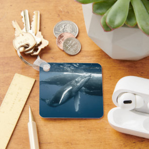 Niedliche Kleintiere   Humpback Whale Calf Schlüsselanhänger