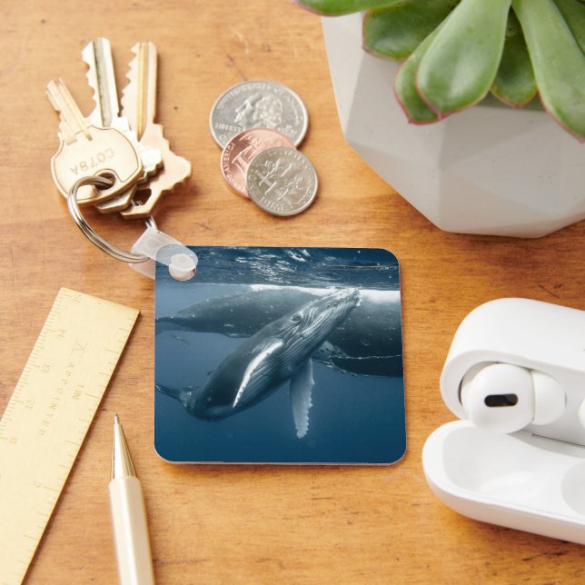 Niedliche Kleintiere | Humpback Whale Calf Schlüsselanhänger (Schreibtisch)