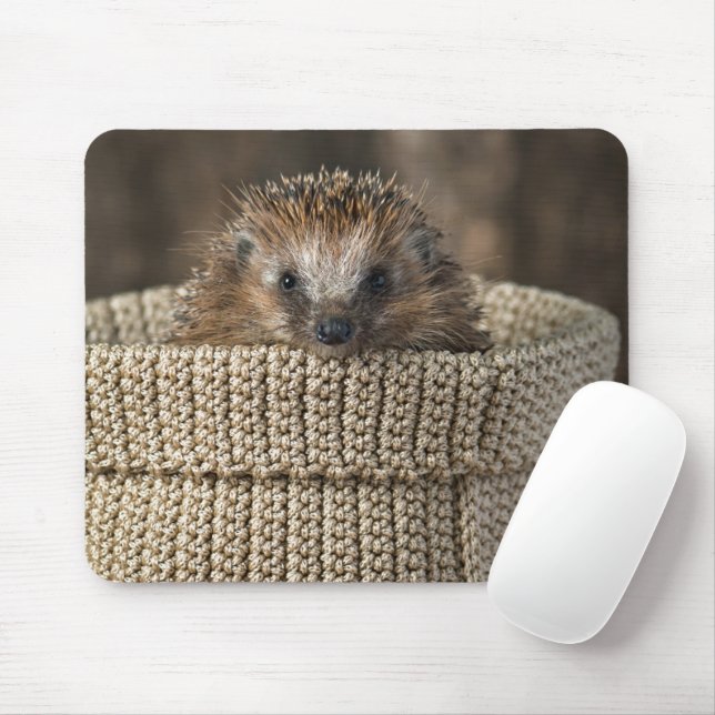 Niedliche Kleintiere | Igel in einem Korb Mousepad (Mit Mouse)