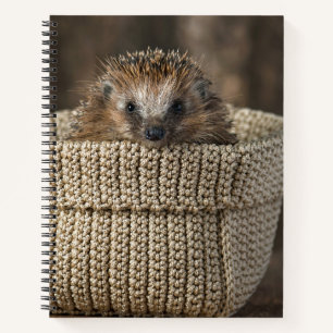 Niedliche Kleintiere Igel in einem Korb Notizbuch
