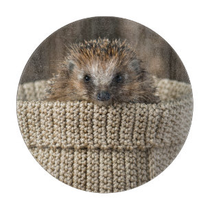 Niedliche Kleintiere   Igel in einem Korb Schneidebrett