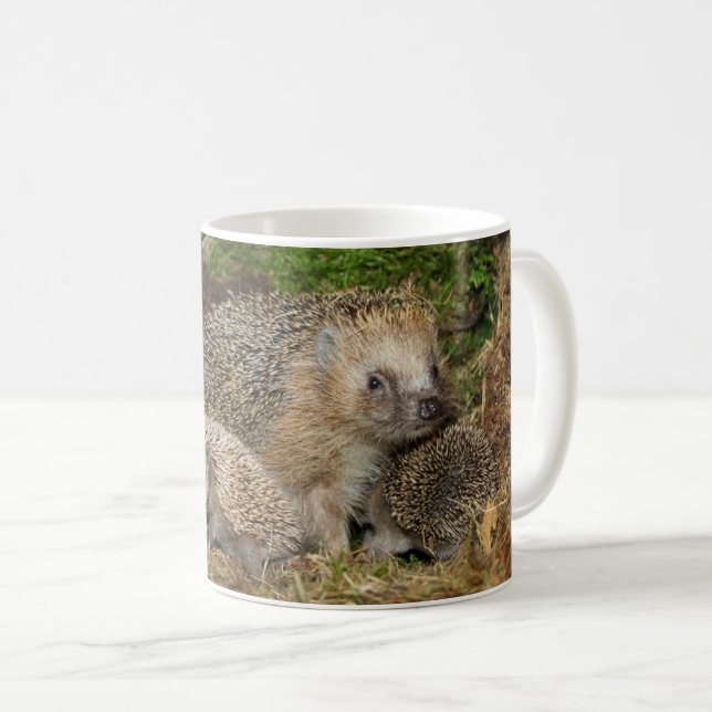 Niedliche Kleintiere | IGEL Kaffeetasse (VorderseiteRechts)