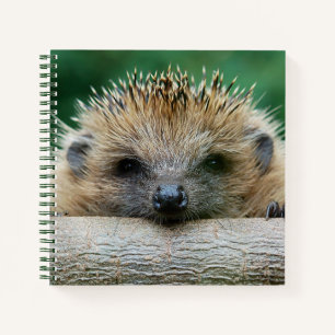 Niedliche Kleintiere Igel Lächeln Notizbuch