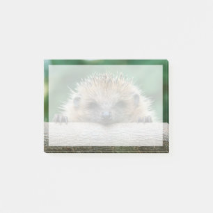Niedliche Kleintiere   Igel Lächeln Post-it Klebezettel