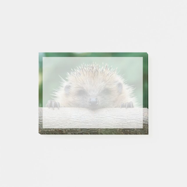 Niedliche Kleintiere | Igel Lächeln Post-it Klebezettel (Vorderseite)